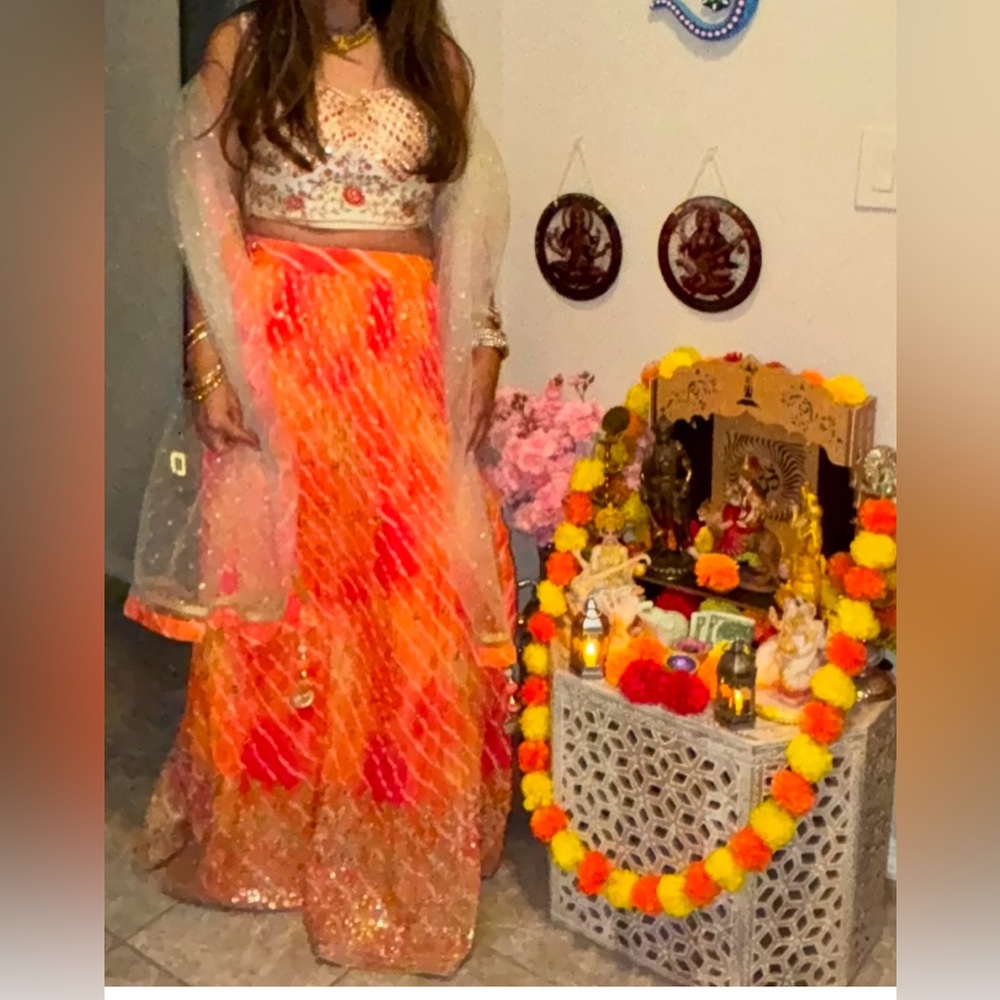 Traditional Saree - Picture 4 of 4
